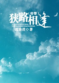 狭路相逢(特警)