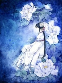 三国之盛世王朝